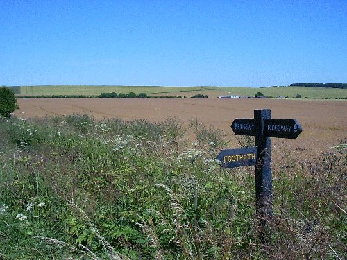 The Ridgeway (Ancient Trackway) by Jane