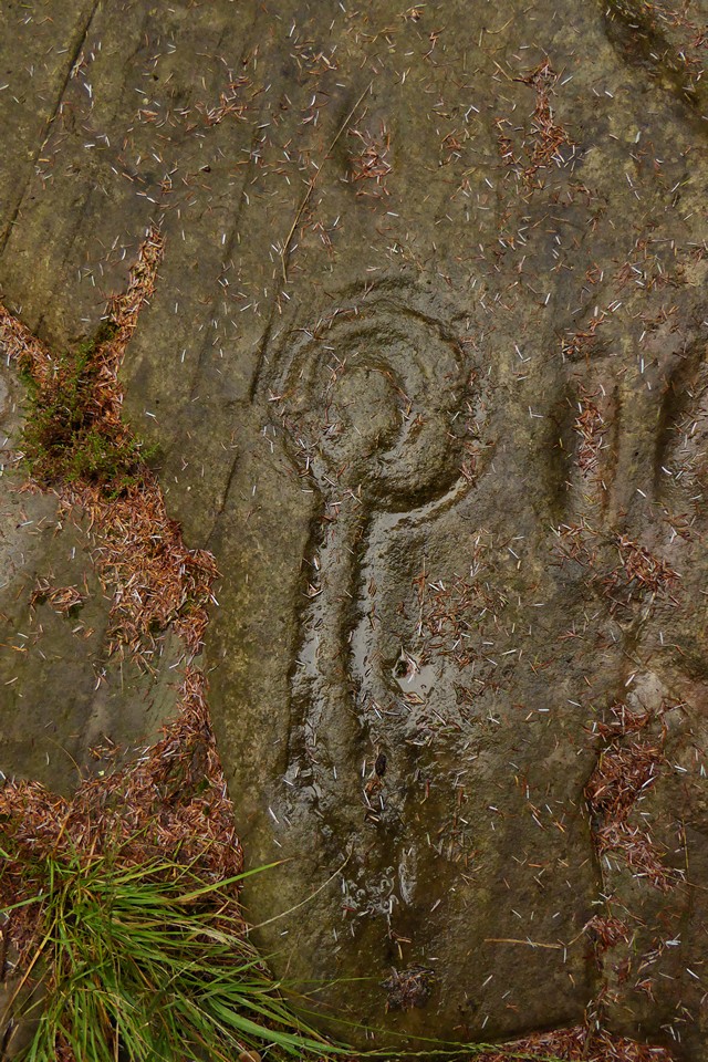 Stronach Wood (Cup and Ring Marks / Rock Art) by thesweetcheat