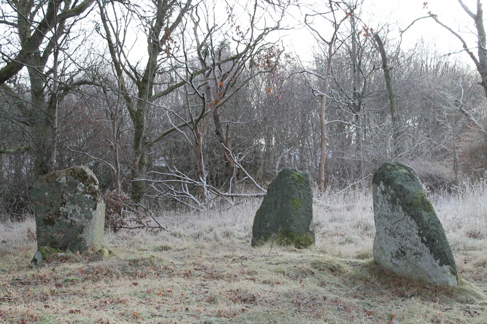 Deer Park (Stone Circle) by ruskus