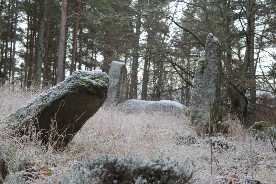 Cothiemuir Wood (Stone Circle) by ruskus