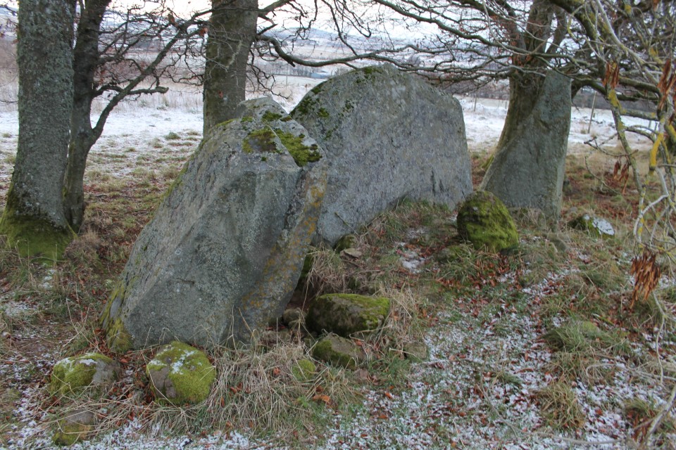 Dunnydeer Farm (Stone Circle) by ruskus