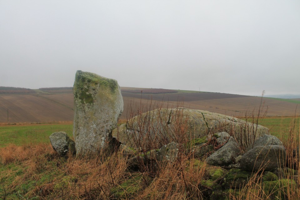 Kirkton of Bourtie (Stone Circle) by ruskus