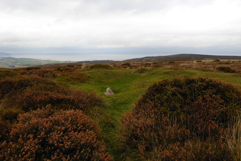 Thorncombe Barrow (Round Barrow(s)) by thesweetcheat