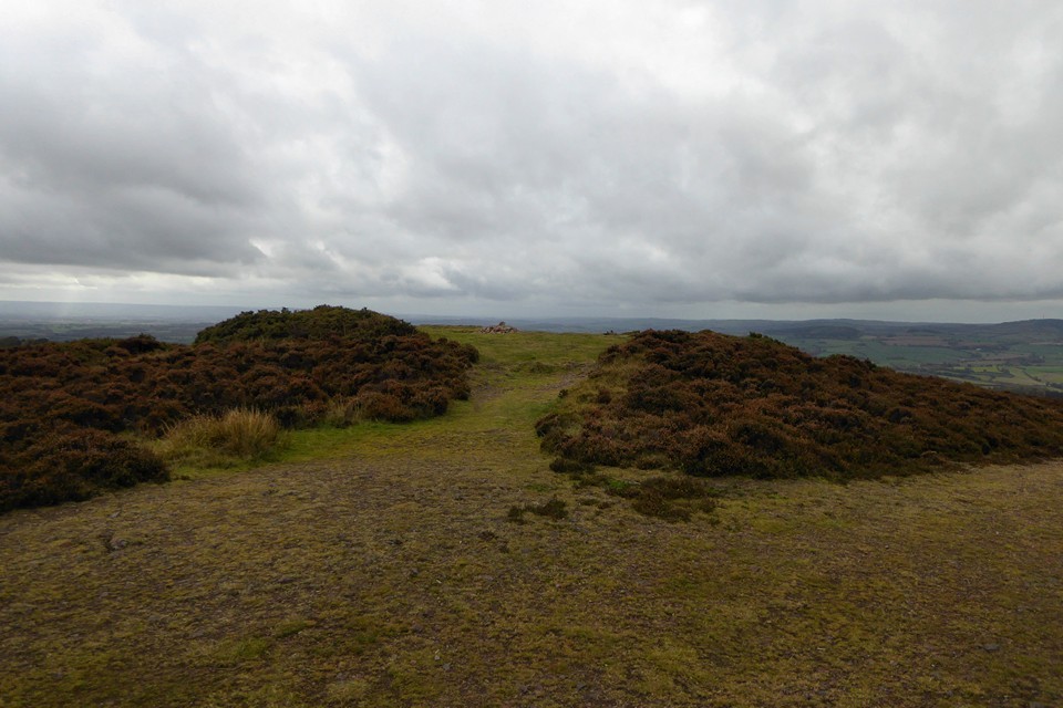 Black Hill and Hurley Beacon (Barrow / Cairn Cemetery) by thesweetcheat