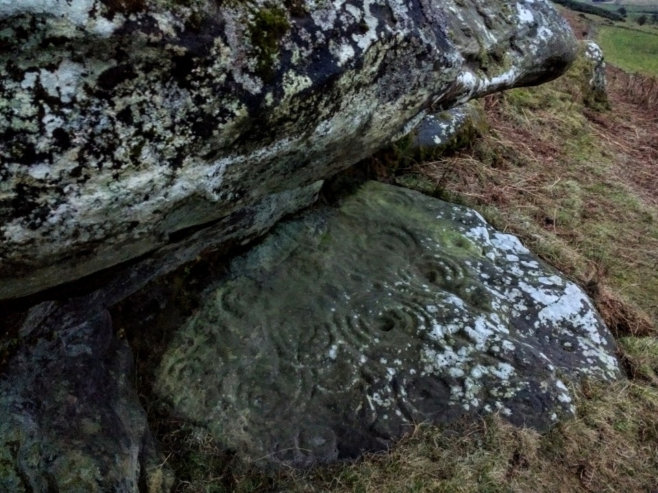 Kettley Crag (Cup and Ring Marks / Rock Art) by spencer