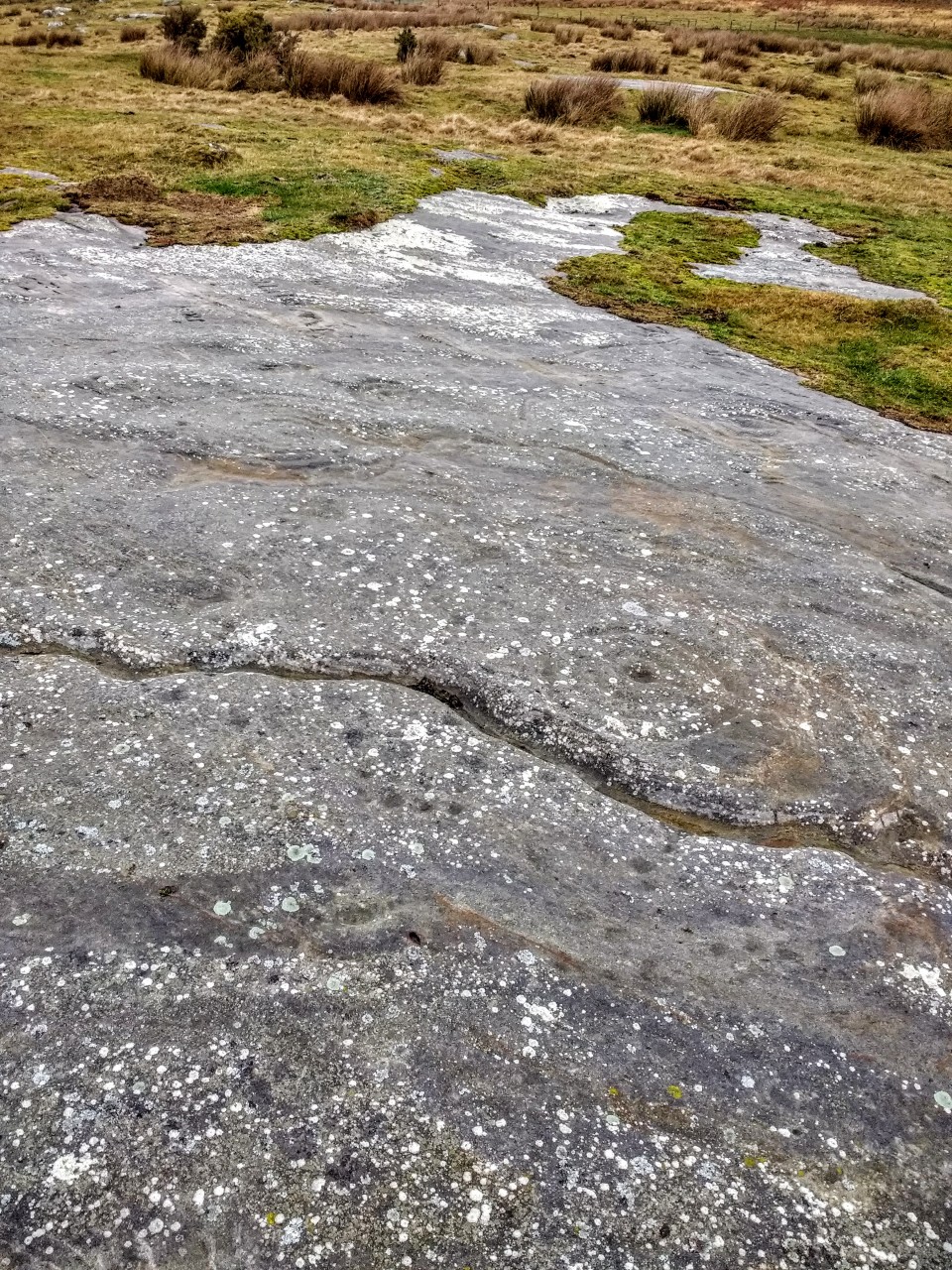 Chatton (Cup and Ring Marks / Rock Art) by spencer