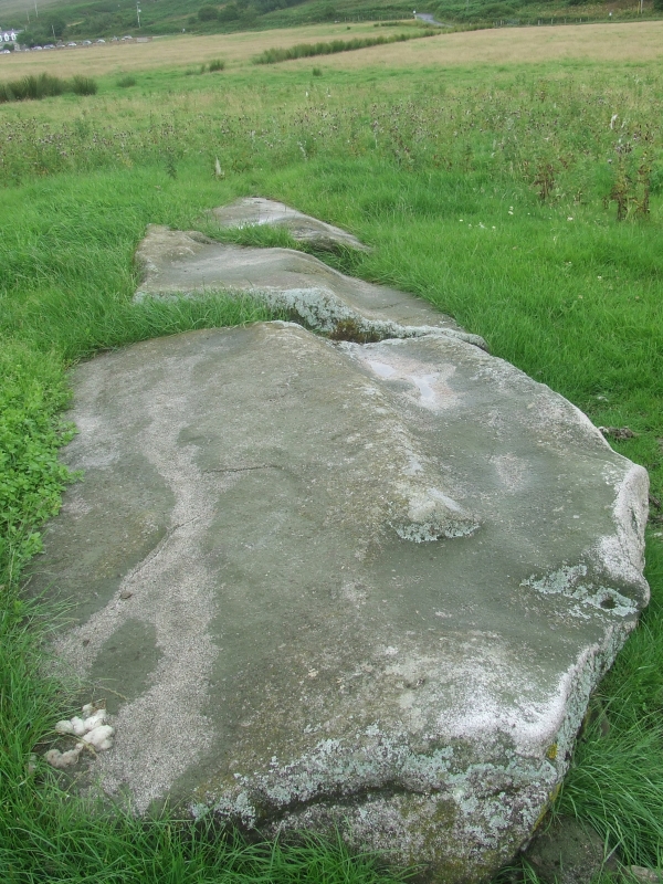 Druid Auchencar (Standing Stone / Menhir) by Howburn Digger