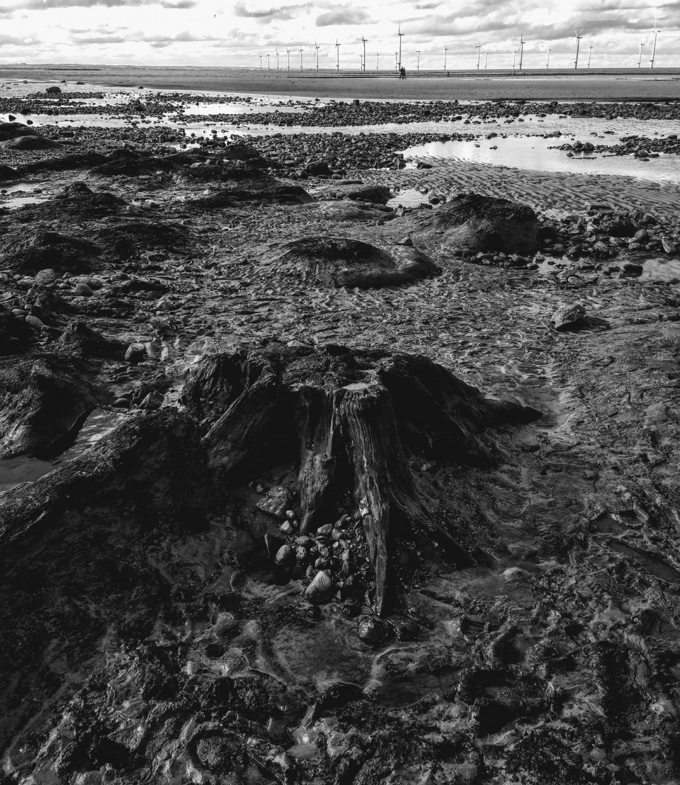 Redcar Beach Submerged Forest (Mesolithic site) by spencer