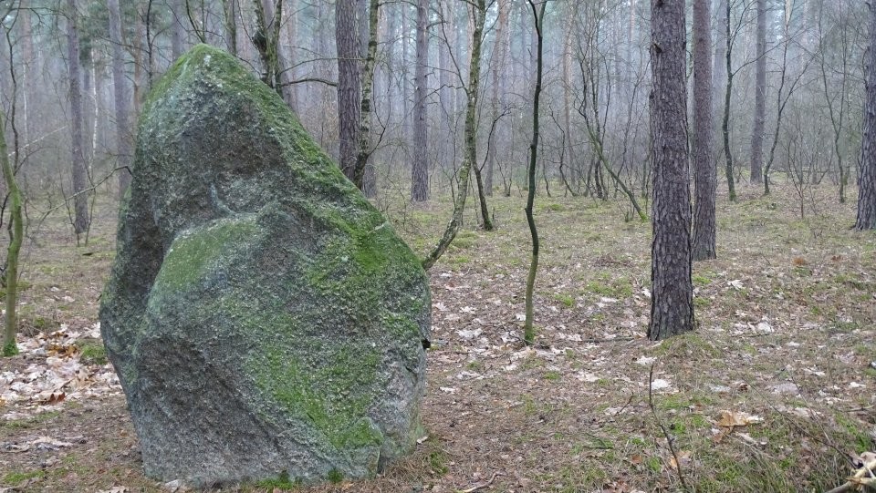 Bonese - Lehnekenstein (Standing Stone / Menhir) by Nucleus