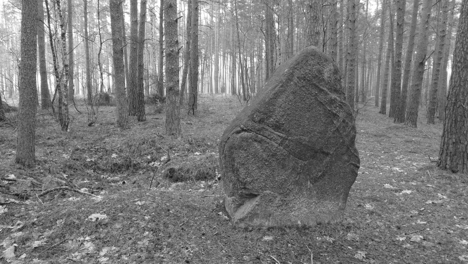 Bonese - Lehnekenstein (Standing Stone / Menhir) by Nucleus