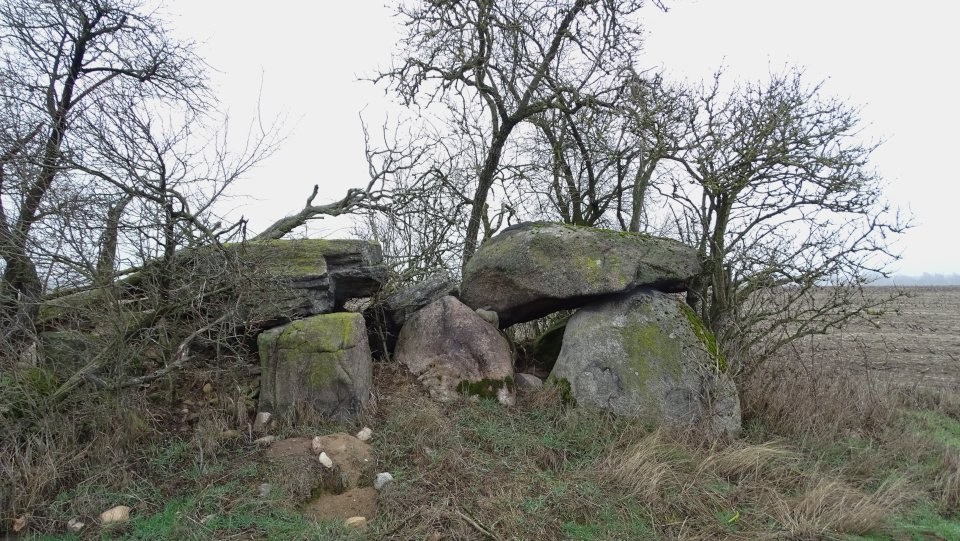 Schadewohl 2 (Chambered Tomb) by Nucleus