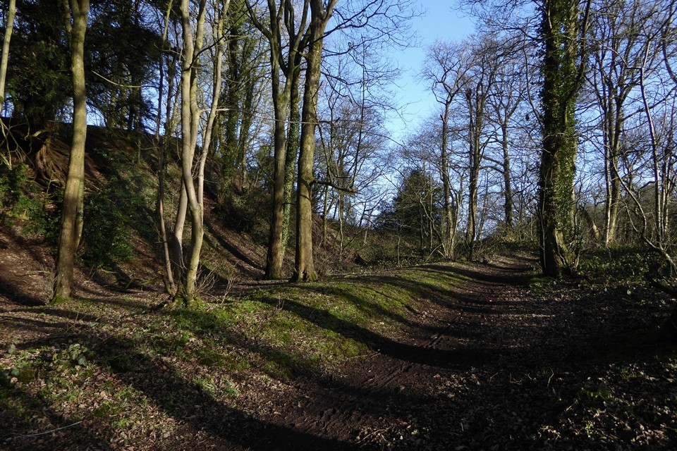 Wychbury Hill (Hillfort) by thesweetcheat