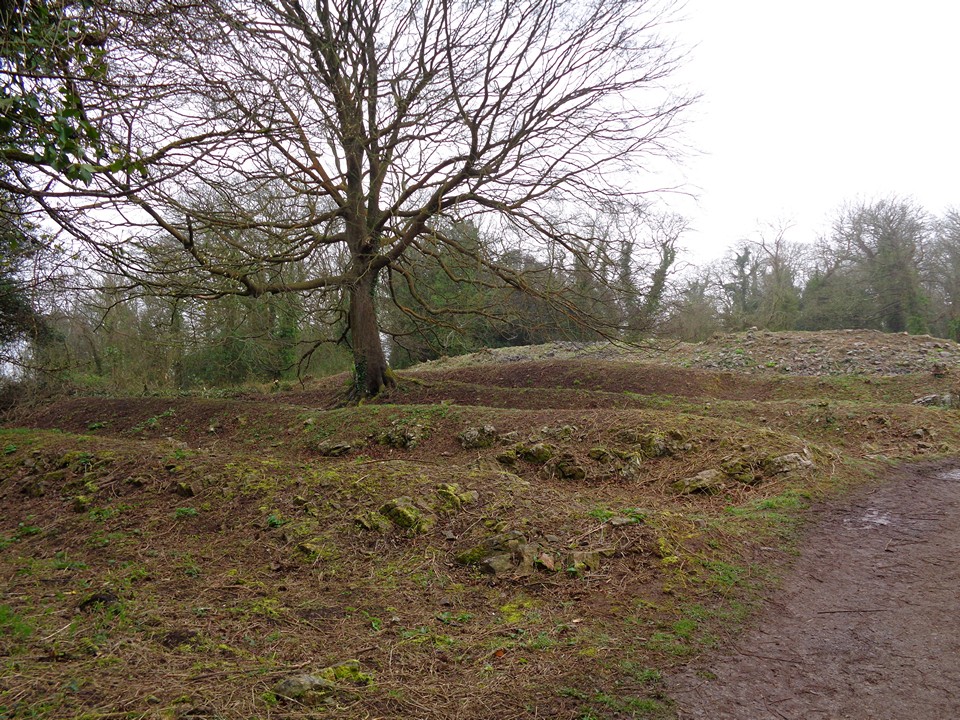 Worlebury (Hillfort) by thelonious