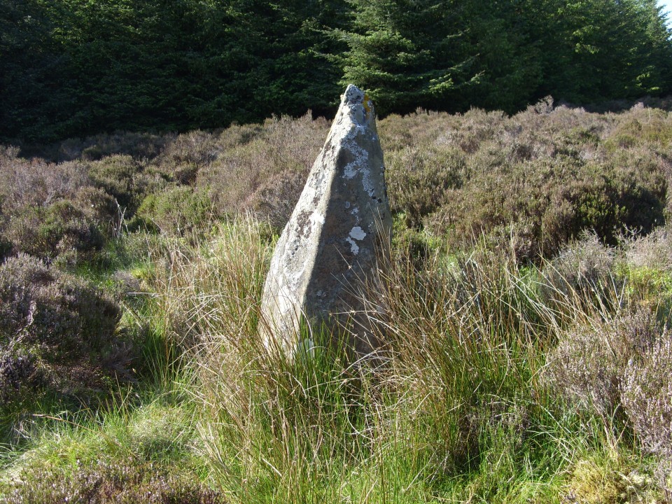 Long Tom (Cairnryan) (Standing Stone / Menhir) by markj99
