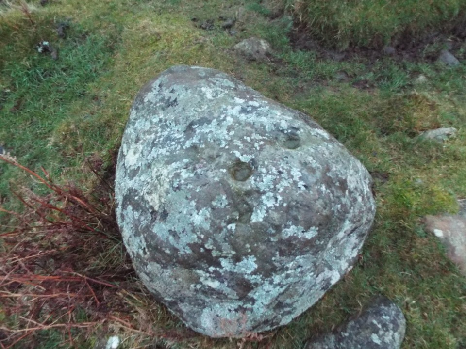 Fontburn Dod Wood (Stone Circle) by postman