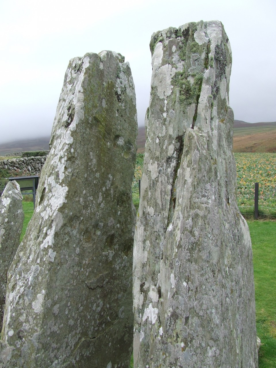 Cairnholy (Chambered Cairn) by Howburn Digger