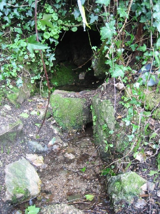Alsia Holy Well (Sacred Well) by goffik