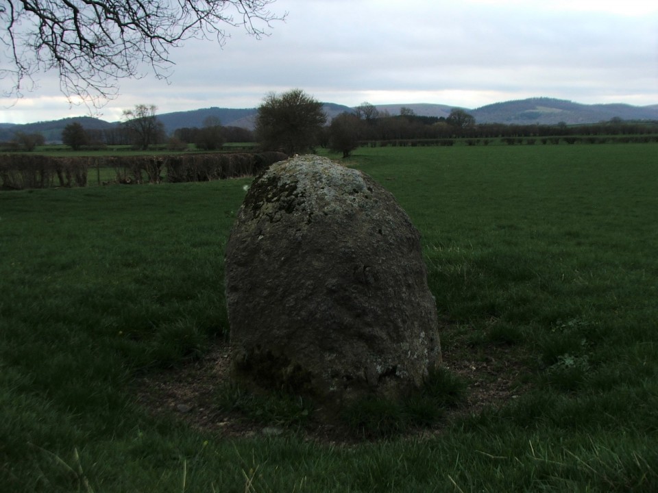 Kinnerton Court Stone I (Standing Stone / Menhir) by postman
