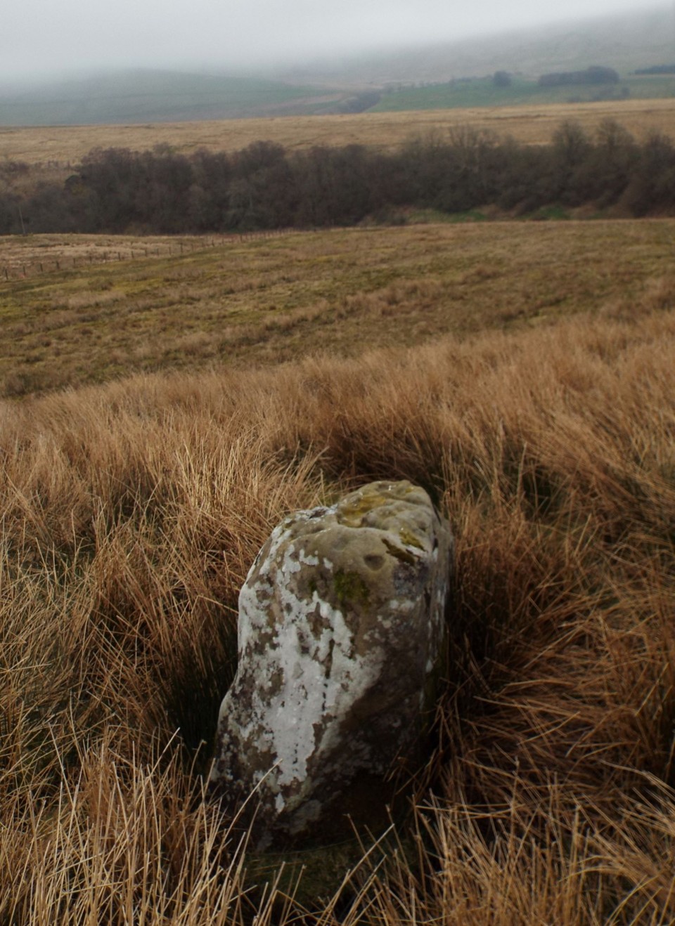Buck Stone (Standing Stone / Menhir) by postman