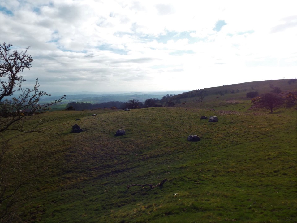 Easthill (Stone Circle) by postman