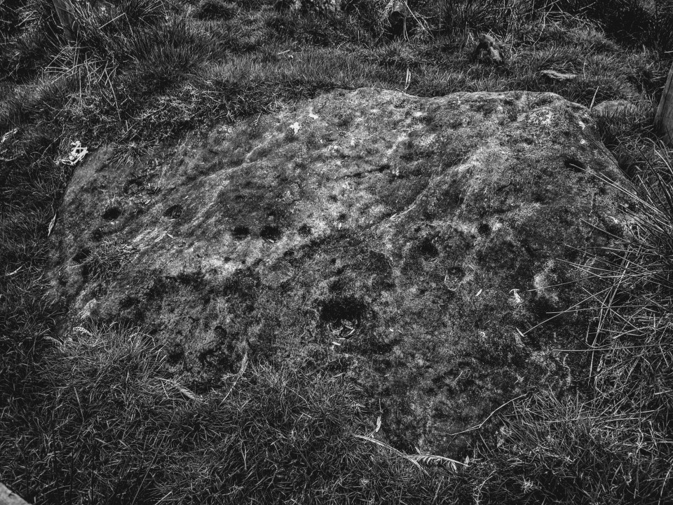 Roxby (Cup and Ring Marks / Rock Art) by spencer