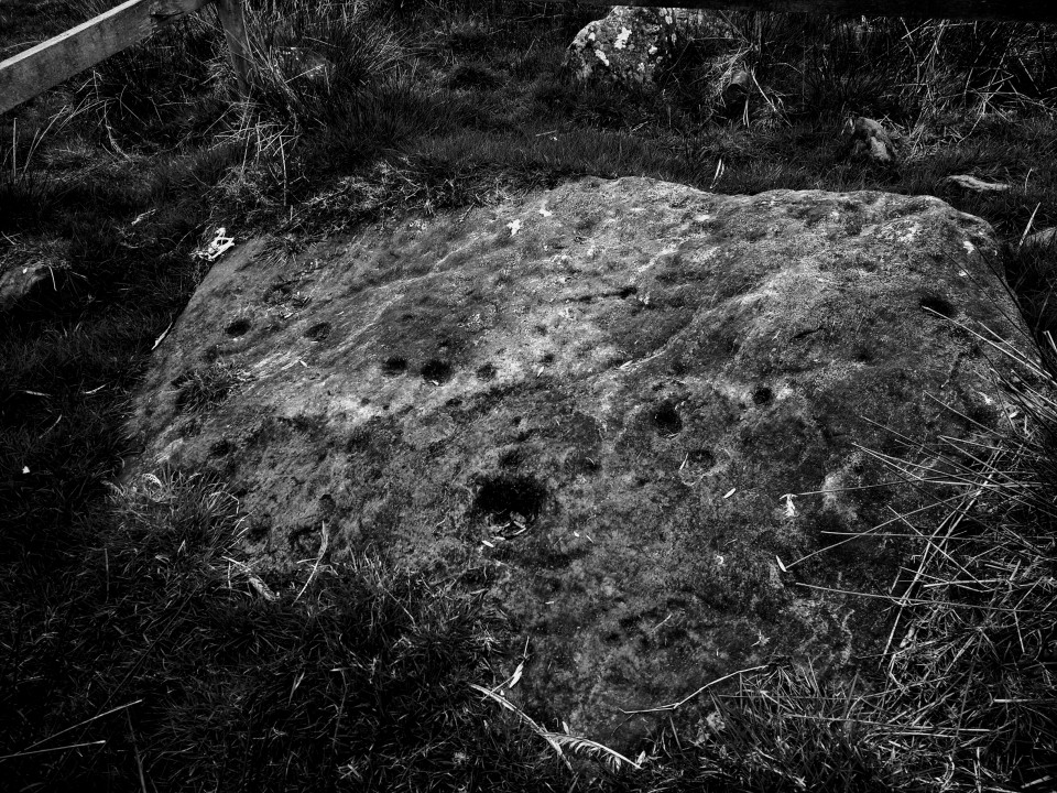 Roxby (Cup and Ring Marks / Rock Art) by spencer
