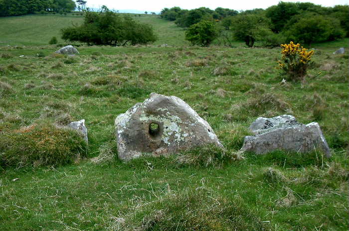 Overton Down Holed Stone and Beaker Settlement (Ancient Village / Settlement / Misc. Earthwork) by baza