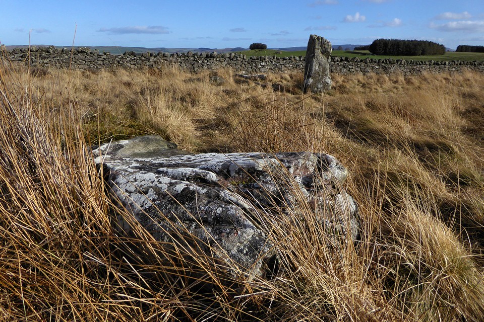 Doddington Stone Circle (Stone Circle) by thesweetcheat