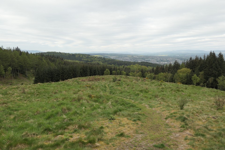Deuchny Wood (Hillfort) by thelonious