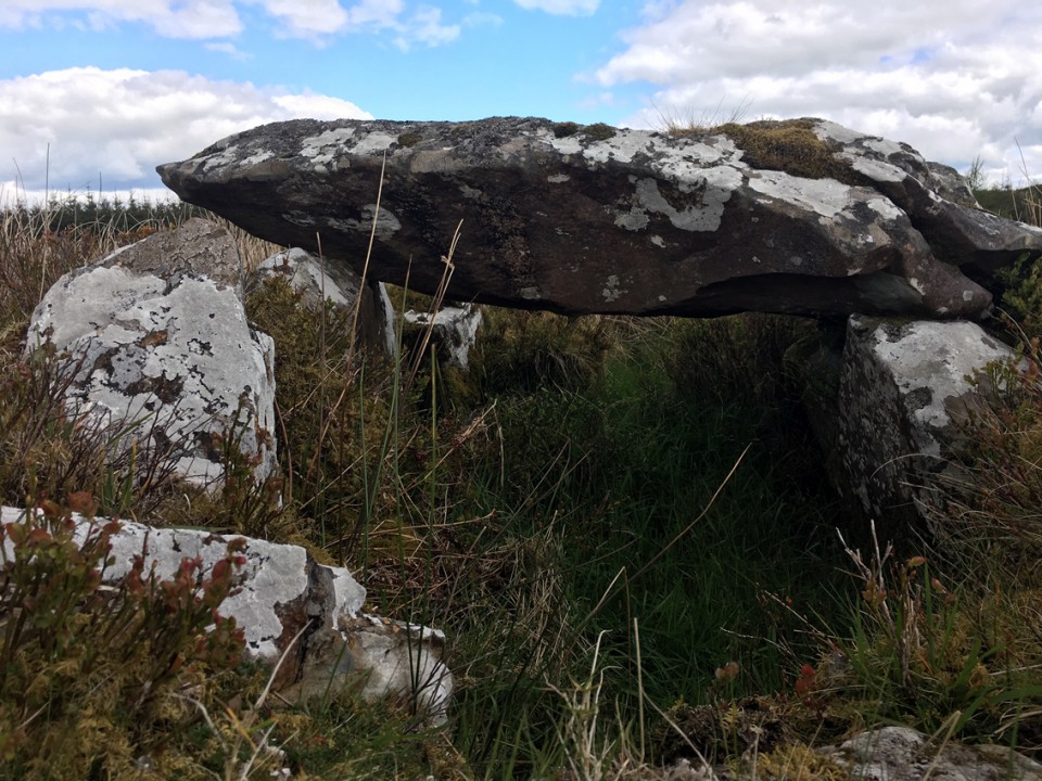 Cureeny Commons (Wedge Tomb) by ryaner