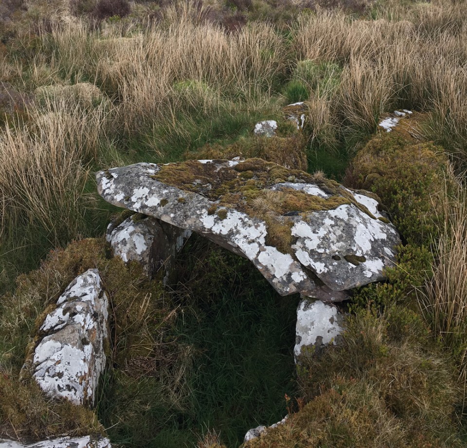 Cureeny Commons (Wedge Tomb) by ryaner