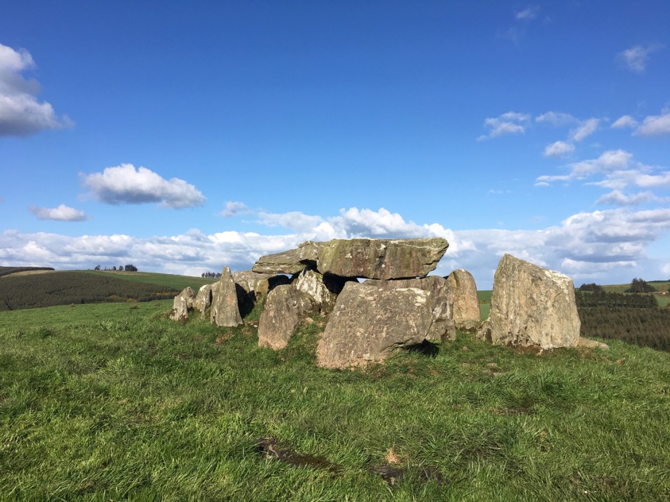 Knockcurraghbola Commons (Wedge Tomb) by ryaner