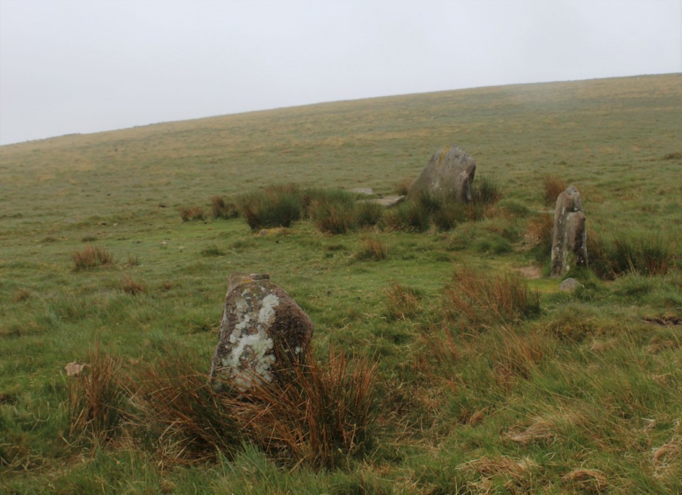 Down Ridge (Stone Circle) by postman