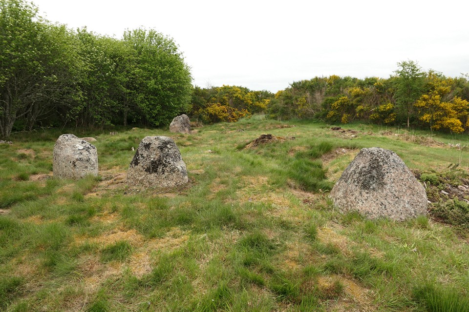 Carriblair (Stone Circle) by thelonious