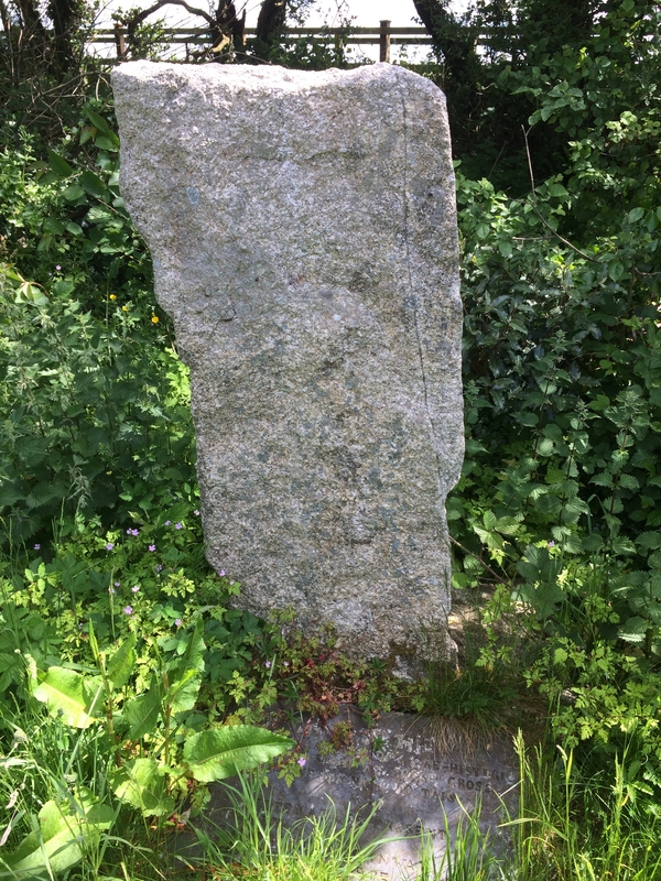 Longstone (St Mabyn) (Standing Stone / Menhir) by markj99