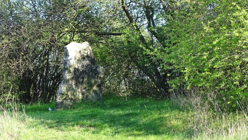 Aschersleben - Speckseite (Standing Stone / Menhir) by Nucleus