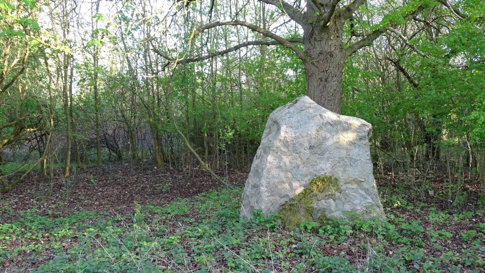 Aschersleben - Blaue Gans (Standing Stone / Menhir) by Nucleus