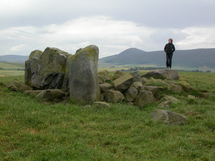 Ardlair (Stone Circle) by stevem