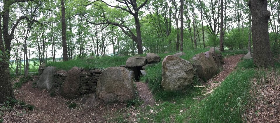 Steinfeld 1 (Passage Grave) by Nucleus