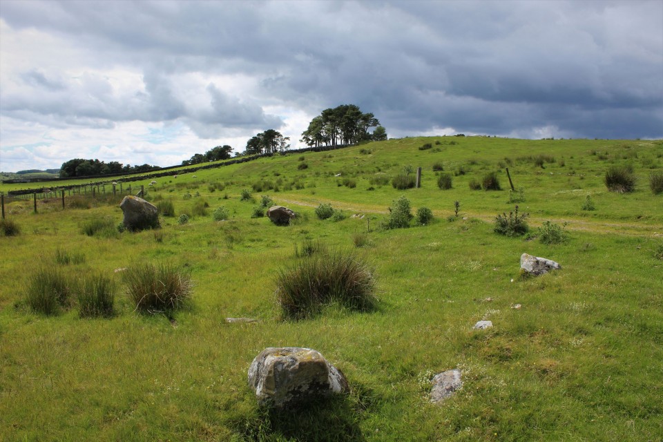 Ridley Common (Stone Circle) by postman