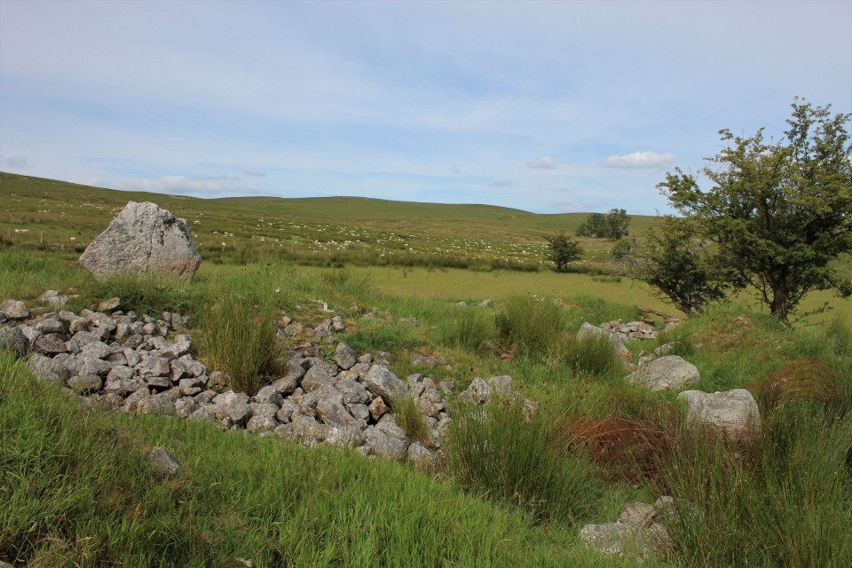 Nant Maden (Kerbed Cairn) by postman