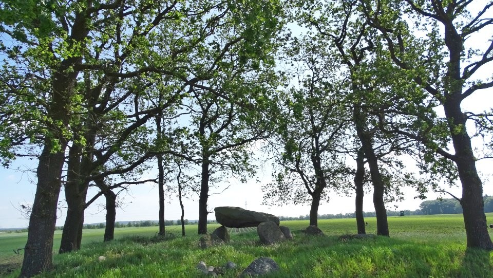 Großenhain (Chambered Tomb) by Nucleus