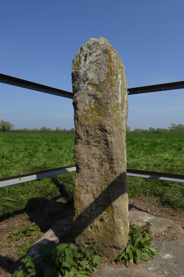 Wergins Stone (Standing Stone / Menhir) by thesweetcheat