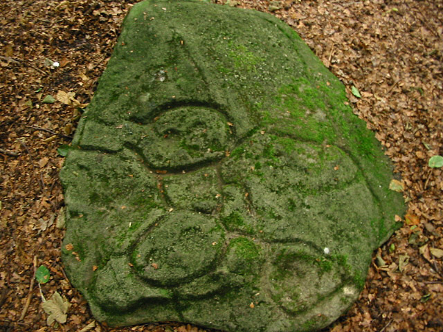 Ecclesall Woods (Cup and Ring Marks / Rock Art) by stubob