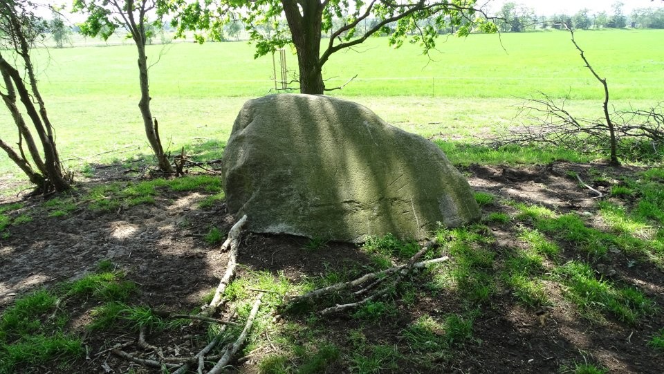 Westerwanna 14 (Chambered Tomb) by Nucleus