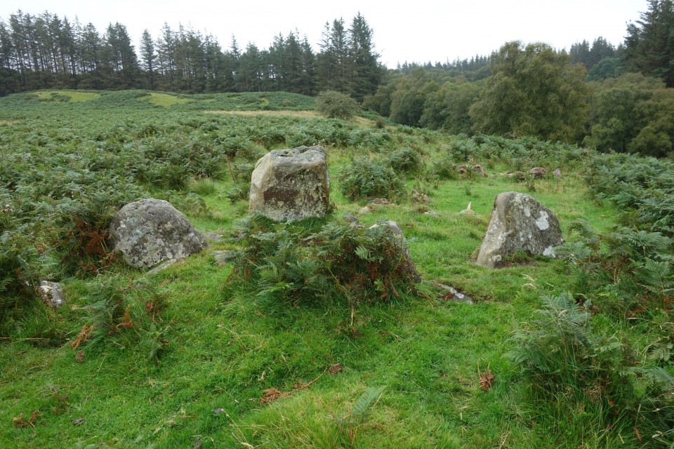 Fontburn Dod Wood (Stone Circle) by costaexpress