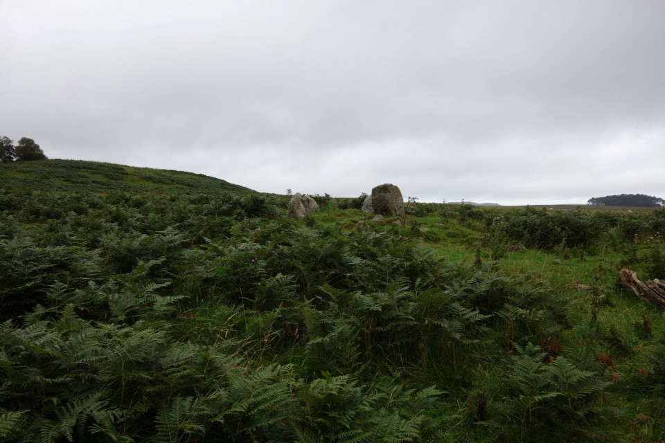 Fontburn Dod Wood (Stone Circle) by costaexpress