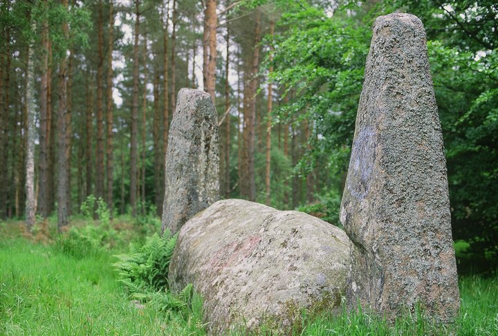 Cothiemuir Wood (Stone Circle) by Ian Murray