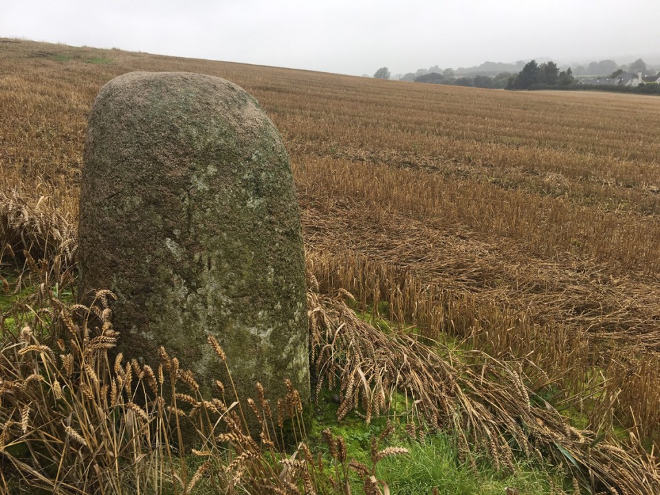 Castletown - Standing Stone (Standing Stone / Menhir) by ryaner
