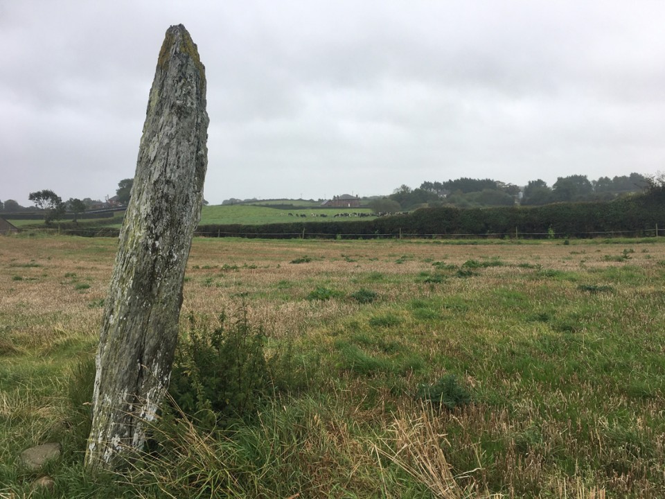 Cuchulains Stone (Rathiddy) (Standing Stone / Menhir) by ryaner
